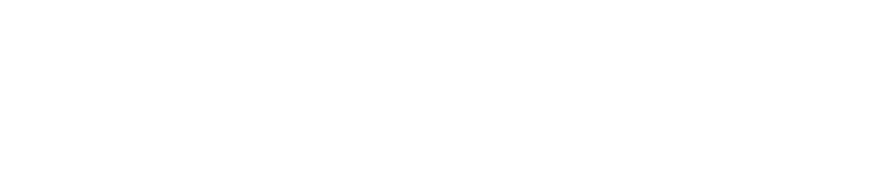 Double Ace Cargo