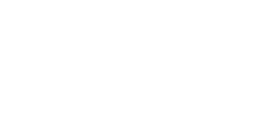 InsureX